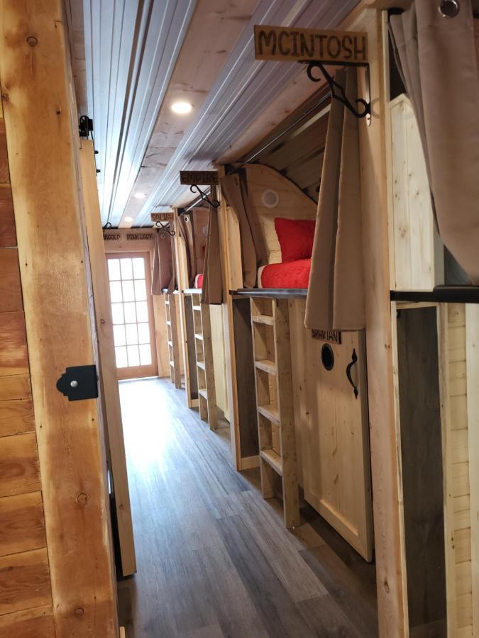 Bed in 8-Bed Mixed Dormitory Room